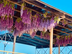 -仙海旅游度假区