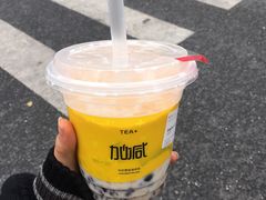 -加减茶饮(高沙店)