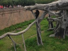-南昌动物园