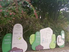 -福田红树林生态公园
