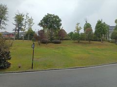 -枫香湖儿童公园