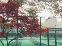 -杭州城北体育公园