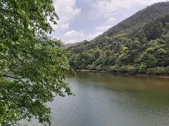 -广州市石门国家森林公园