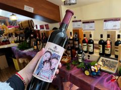 -北京张裕爱斐堡酒庄