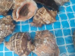 -聚德福海鲜家常菜(刘庄店)