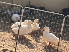 -HERRE·FARM 赫尔露营农场·团建聚会包场