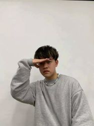-YESIDO椰岛造型