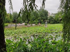 -三圣花乡旅游区