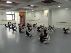 -西安小天鹅艺术团(金花路校区)