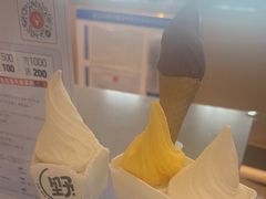 -野人先生现做冰淇淋(北京顺义祥云小镇店)