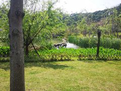 -飞凤山奥体公园