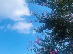 -上海财神庙