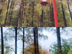 -张公山寨景区