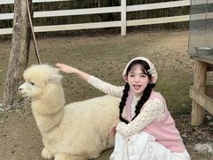 -云栖山谷野奢营地
