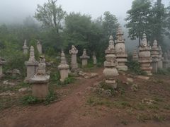 -金灯寺