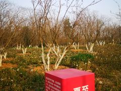 -百姓山羊烧烤·萧县羊肉(青阳路店)