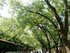 -海淀教堂教堂婚礼