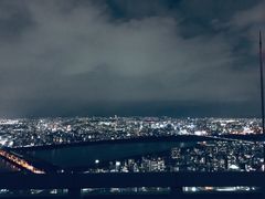 -关西国际机场直营免税店