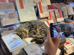 -正阳书局(西四南大街店)