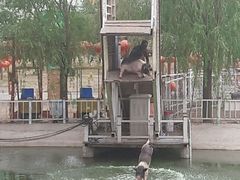 -北京鹿世界主题园