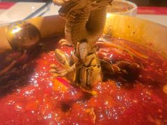 -小龙翻大江文化火锅(宽窄店)