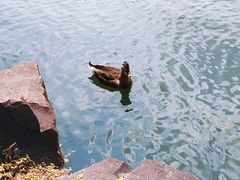 -大宁灵石公园西门票处