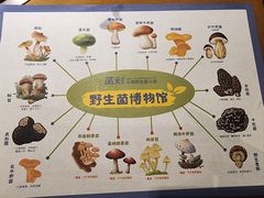-菌彩云南野生菌火锅(万达广场店)