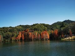 -广州市白云山风景名胜区