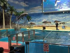 -福州罗源湾海洋世界旅游区