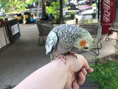 -酷鱼垂钓CLUB(朝阳区博大路店 )