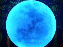 -成都梵高星空艺术馆(春熙路旗舰店)