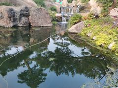 -罗红摄影艺术馆