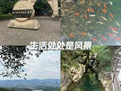 -大奇山国家森林公园