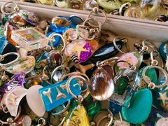 -中国农科院国家农业科技展示园