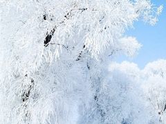 -雾凇岛