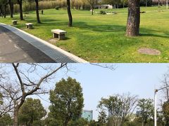 -大宁郁金香公园-停车场