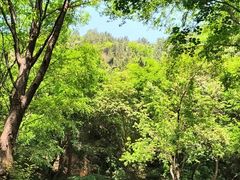 -红崖峡谷景区