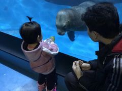 -蓬莱欧乐堡海洋极地世界