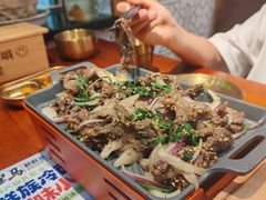 -鑫日千里马朝鲜族小馆(总店)