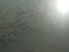 -森林公园(尖草坪区)