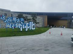 -马大刚白记包子