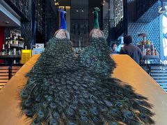 -北京索菲特大酒店