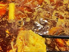 -金海椒罐罐鲢鱼(东方桂苑店)