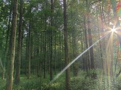 -小格里自然风景区