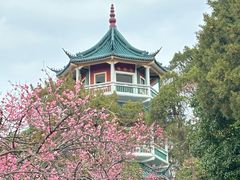 -无锡梅园公园