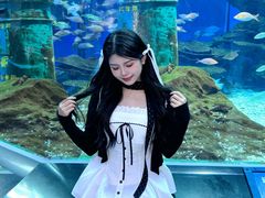 -海合安武汉极地海洋公园