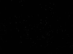 -怀托摩萤火虫洞