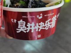 -黑色经典臭豆腐·湖南特产(坡子街店)