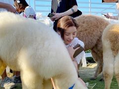 -Blue Concept Cafe&Farm·關於藍