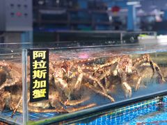 水产区-渔人湾码头海鲜市场负二楼